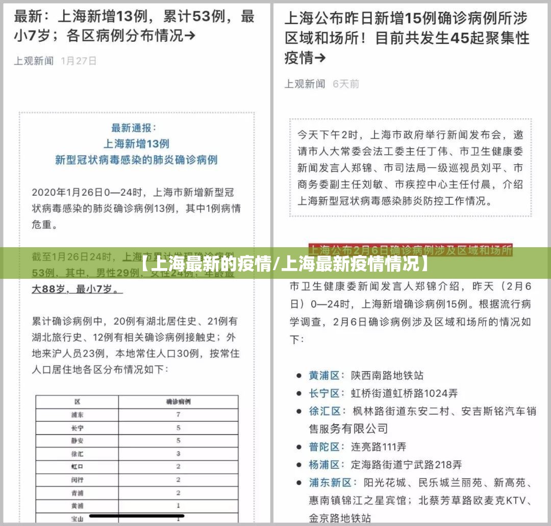 【上海最新的疫情/上海最新疫情情况】 【上海最新的疫情/上海最新疫情情况】