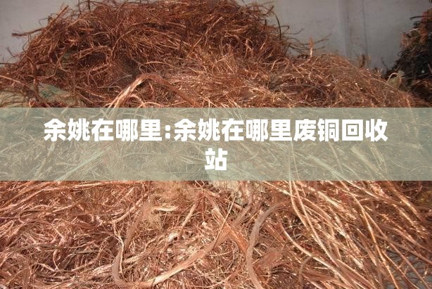 余姚在哪里:余姚在哪里废铜回收站