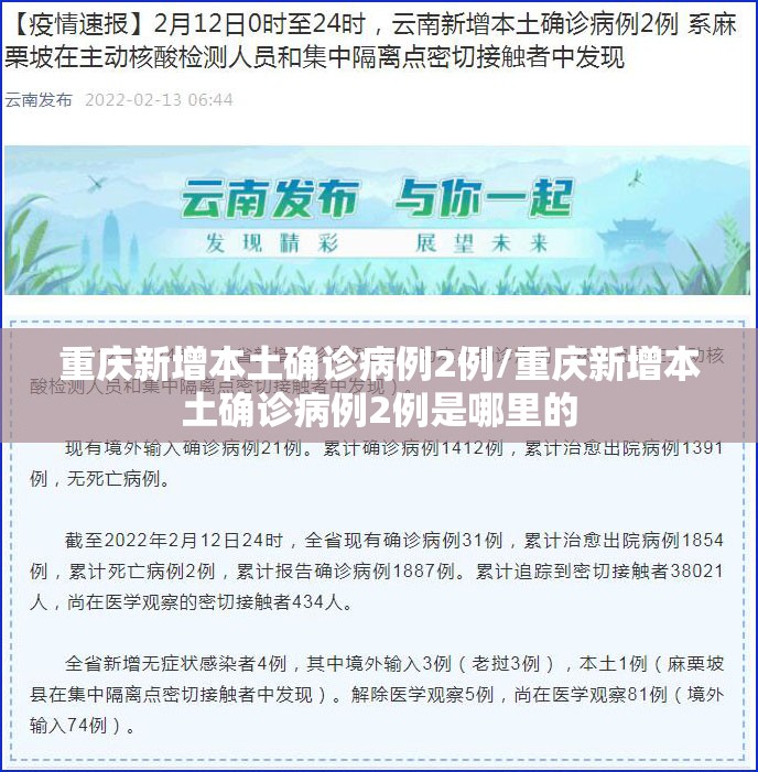 重庆新增本土确诊病例2例/重庆新增本土确诊病例2例是哪里的