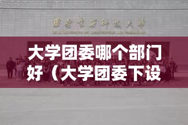 大学团委哪个部门好（大学团委下设几个部门）