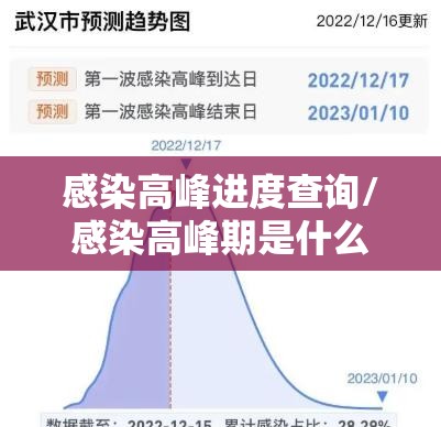 感染高峰进度查询/感染高峰期是什么时候