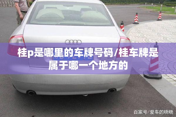 桂p是哪里的车牌号码/桂车牌是属于哪一个地方的