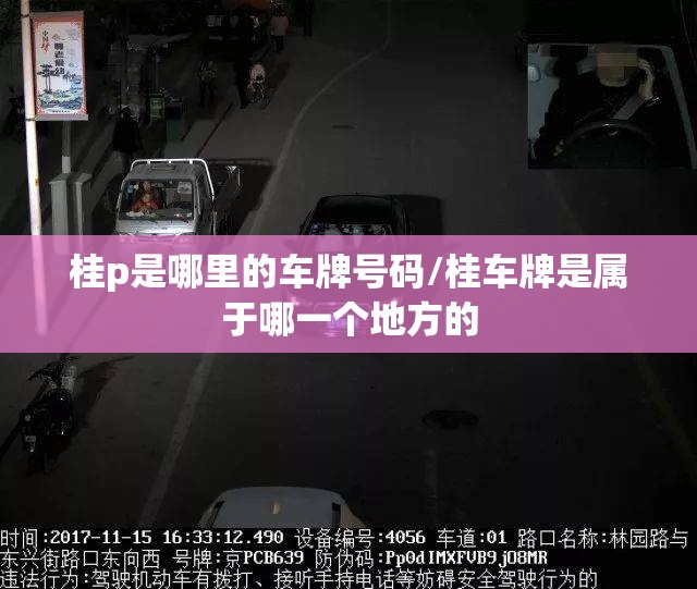 桂p是哪里的车牌号码/桂车牌是属于哪一个地方的