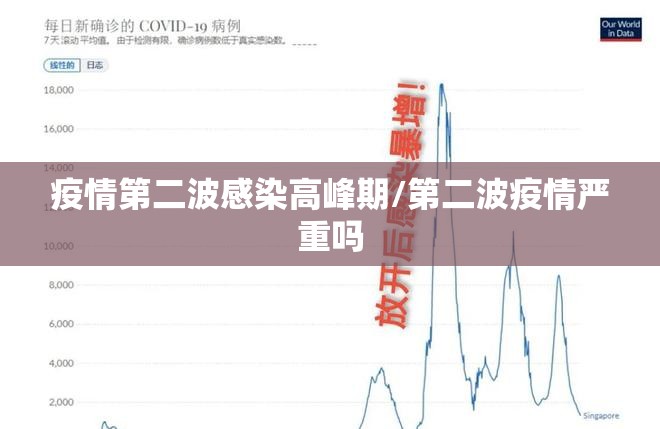 疫情第二波感染高峰期/第二波疫情严重吗