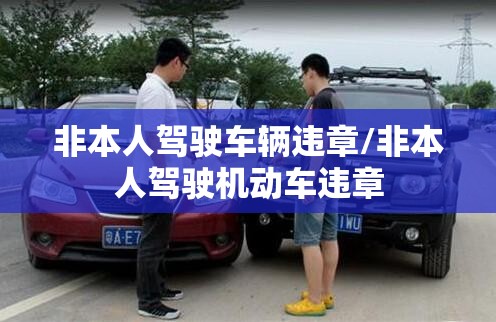 非本人驾驶车辆违章/非本人驾驶机动车违章