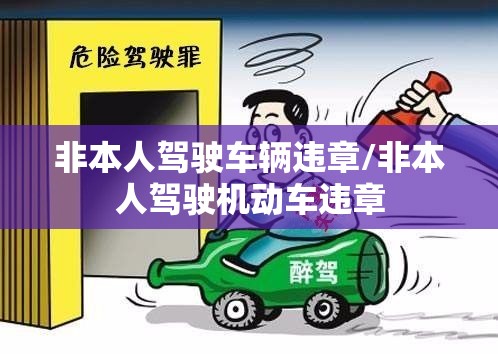 非本人驾驶车辆违章/非本人驾驶机动车违章
