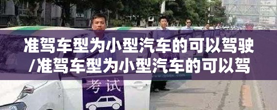 准驾车型为小型汽车的可以驾驶/准驾车型为小型汽车的可以驾驶小型自动挡载客汽车