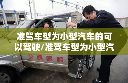 准驾车型为小型汽车的可以驾驶/准驾车型为小型汽车的可以驾驶小型自动挡载客汽车