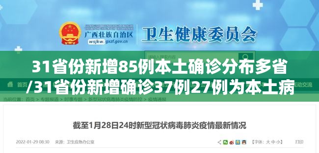 31省份新增85例本土确诊分布多省/31省份新增确诊37例27例为本土病例