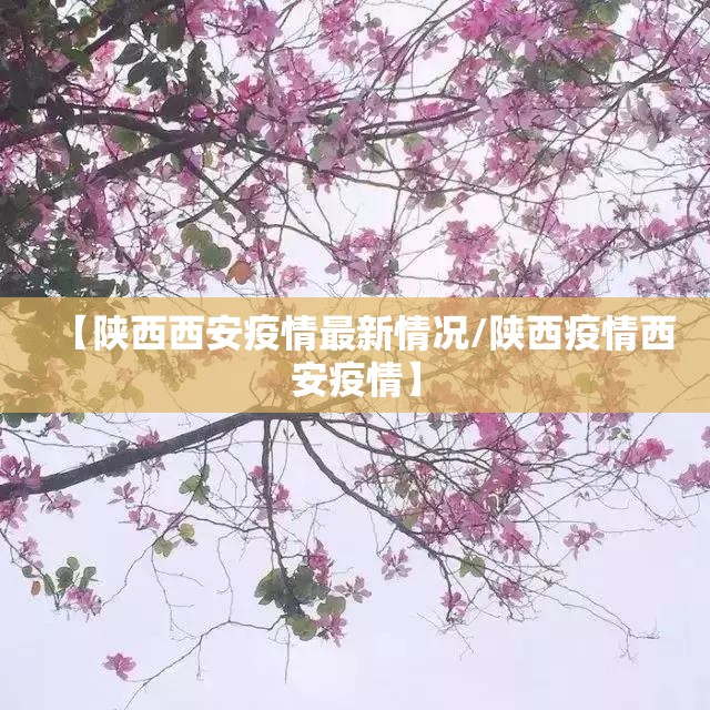 【陕西西安疫情最新情况/陕西疫情西安疫情】