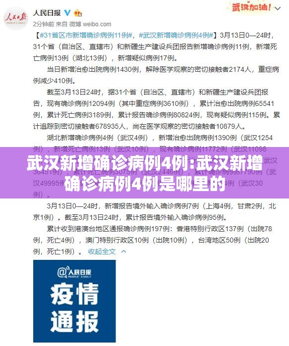 武汉新增确诊病例4例:武汉新增确诊病例4例是哪里的