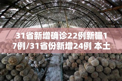 31省新增确诊22例新疆17例/31省份新增24例 本土3例在新疆