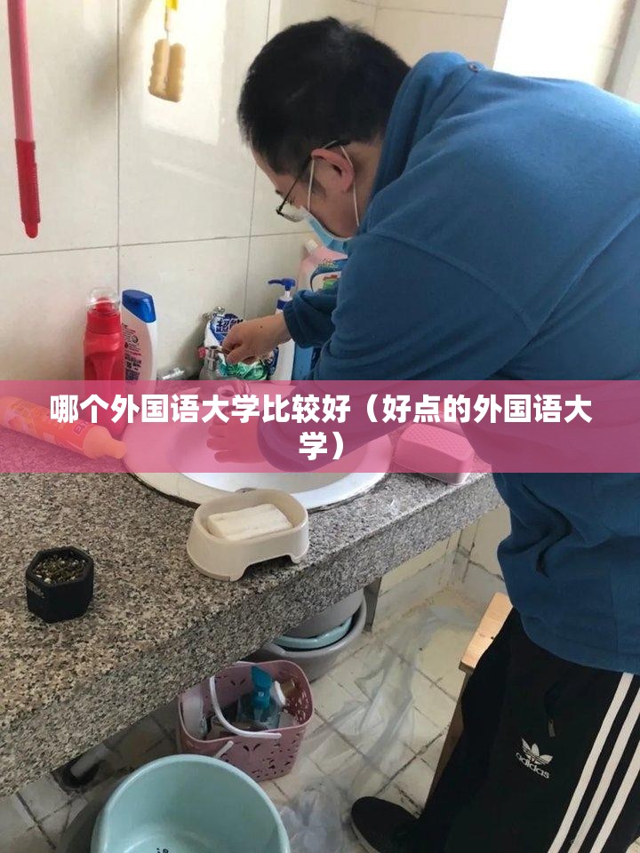 哪个外国语大学比较好（好点的外国语大学）