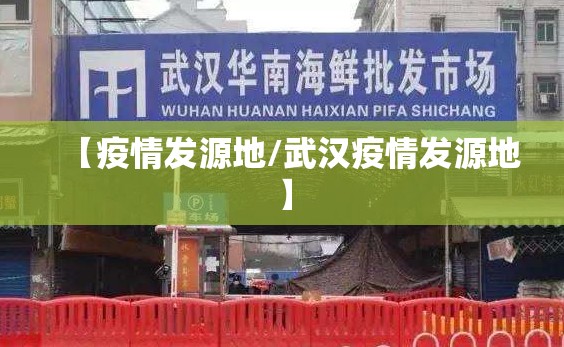 【疫情发源地/武汉疫情发源地】