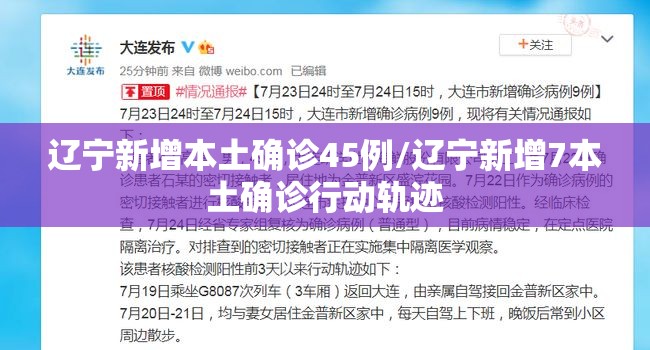 辽宁新增本土确诊45例/辽宁新增7本土确诊行动轨迹