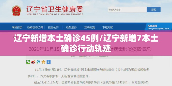 辽宁新增本土确诊45例/辽宁新增7本土确诊行动轨迹