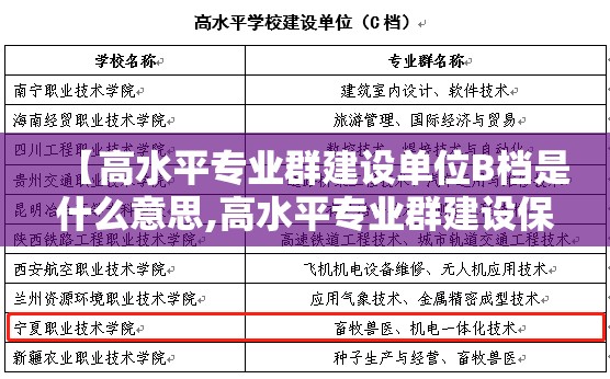 【高水平专业群建设单位B档是什么意思,高水平专业群建设保障机制】
