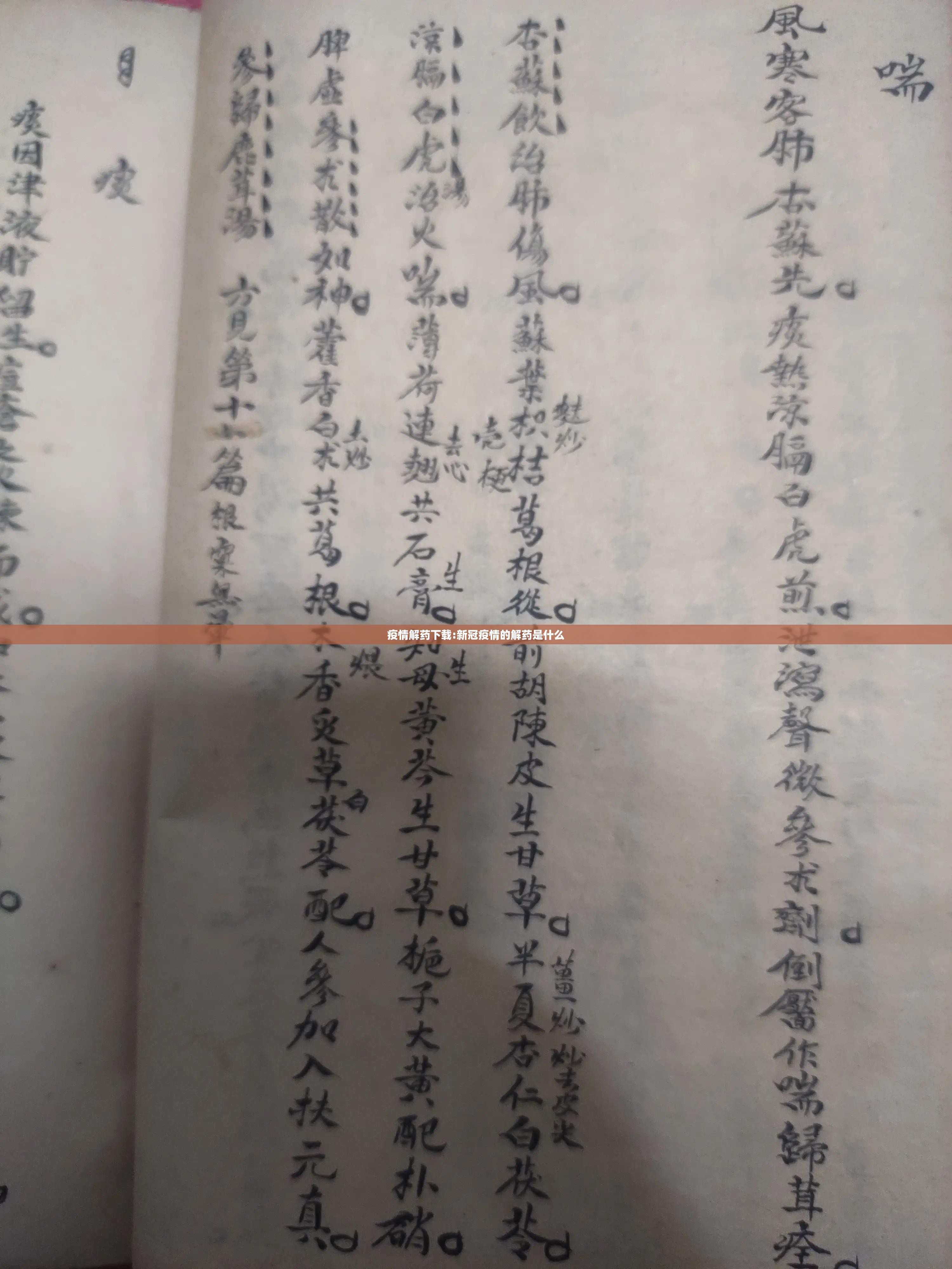 疫情解药下载:新冠疫情的解药是什么