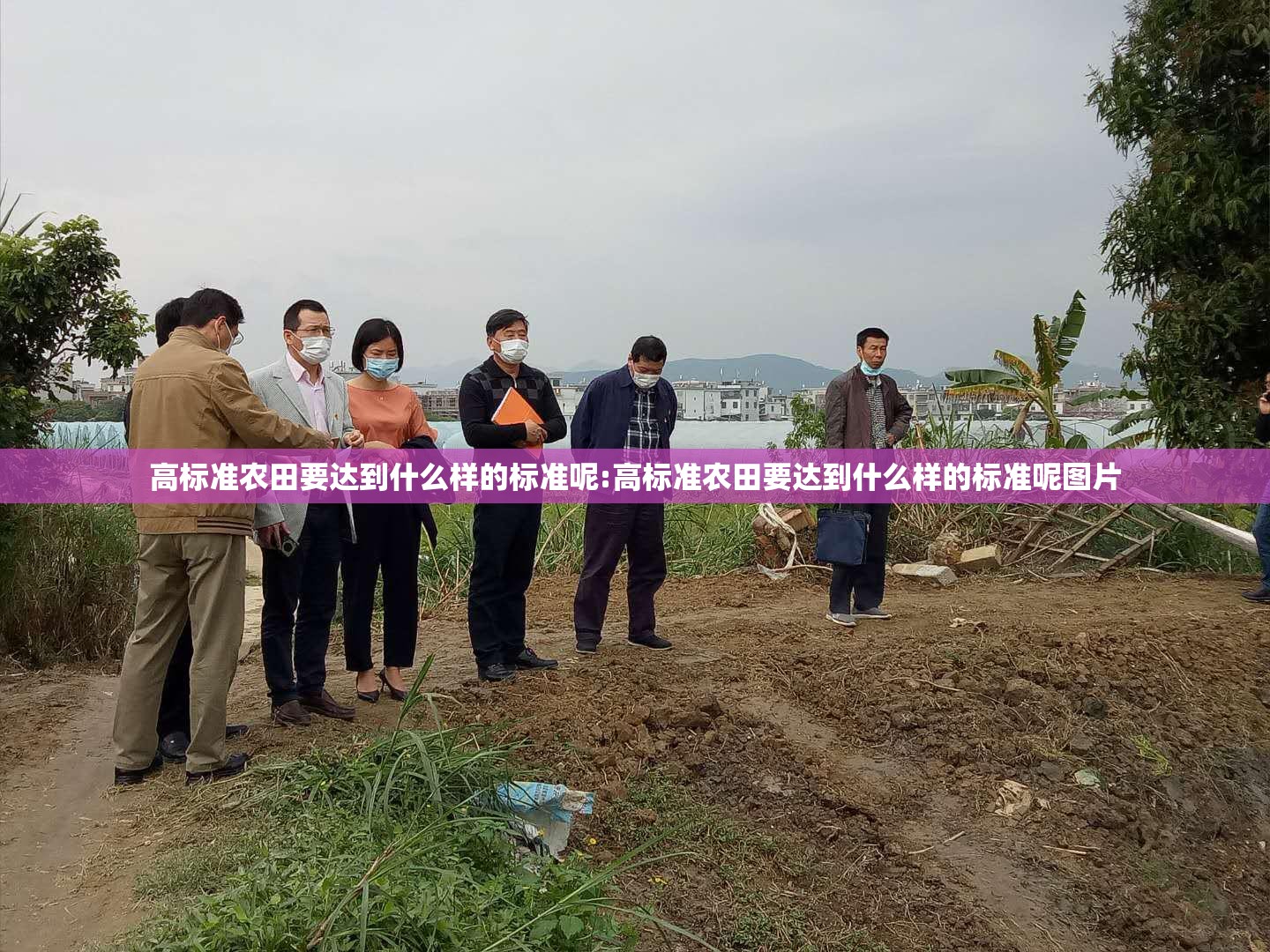 高标准农田要达到什么样的标准呢:高标准农田要达到什么样的标准呢图片