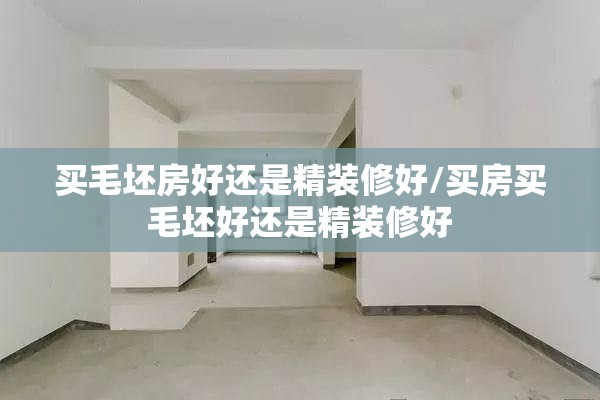买毛坯房好还是精装修好/买房买毛坯好还是精装修好