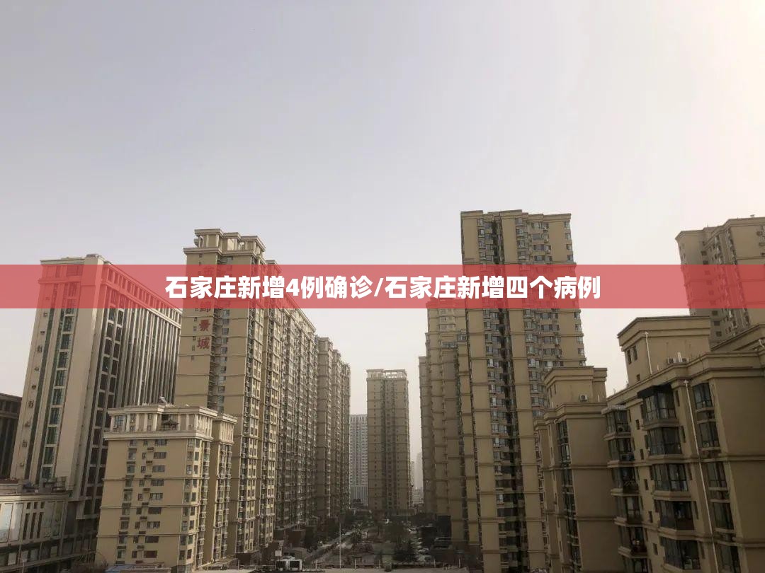 石家庄新增4例确诊/石家庄新增四个病例 石家庄新增4例确诊/石家庄新增四个病例