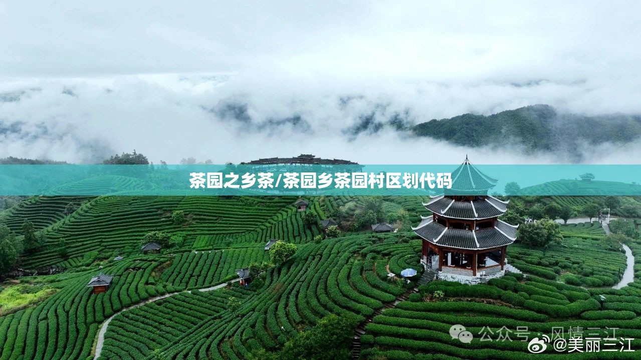 茶园之乡茶/茶园乡茶园村区划代码