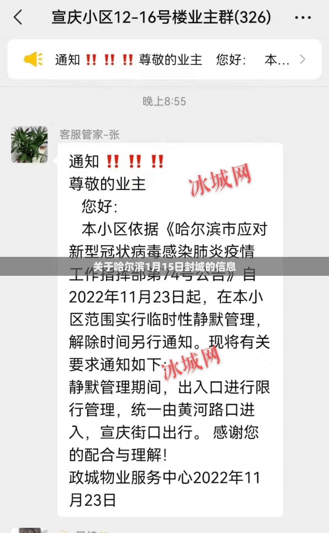 关于哈尔滨1月15日封城的信息