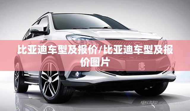 比亚迪车型及报价/比亚迪车型及报价图片