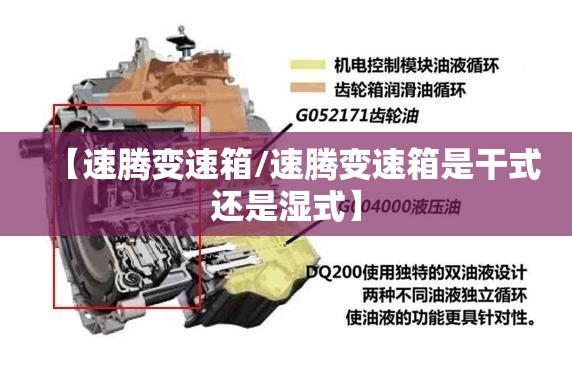 【速腾变速箱/速腾变速箱是干式还是湿式】