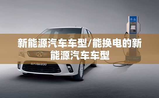 新能源汽车车型/能换电的新能源汽车车型