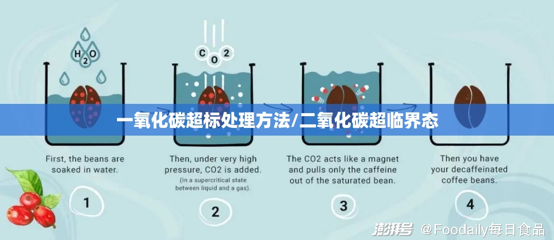 一氧化碳超标处理方法/二氧化碳超临界态
