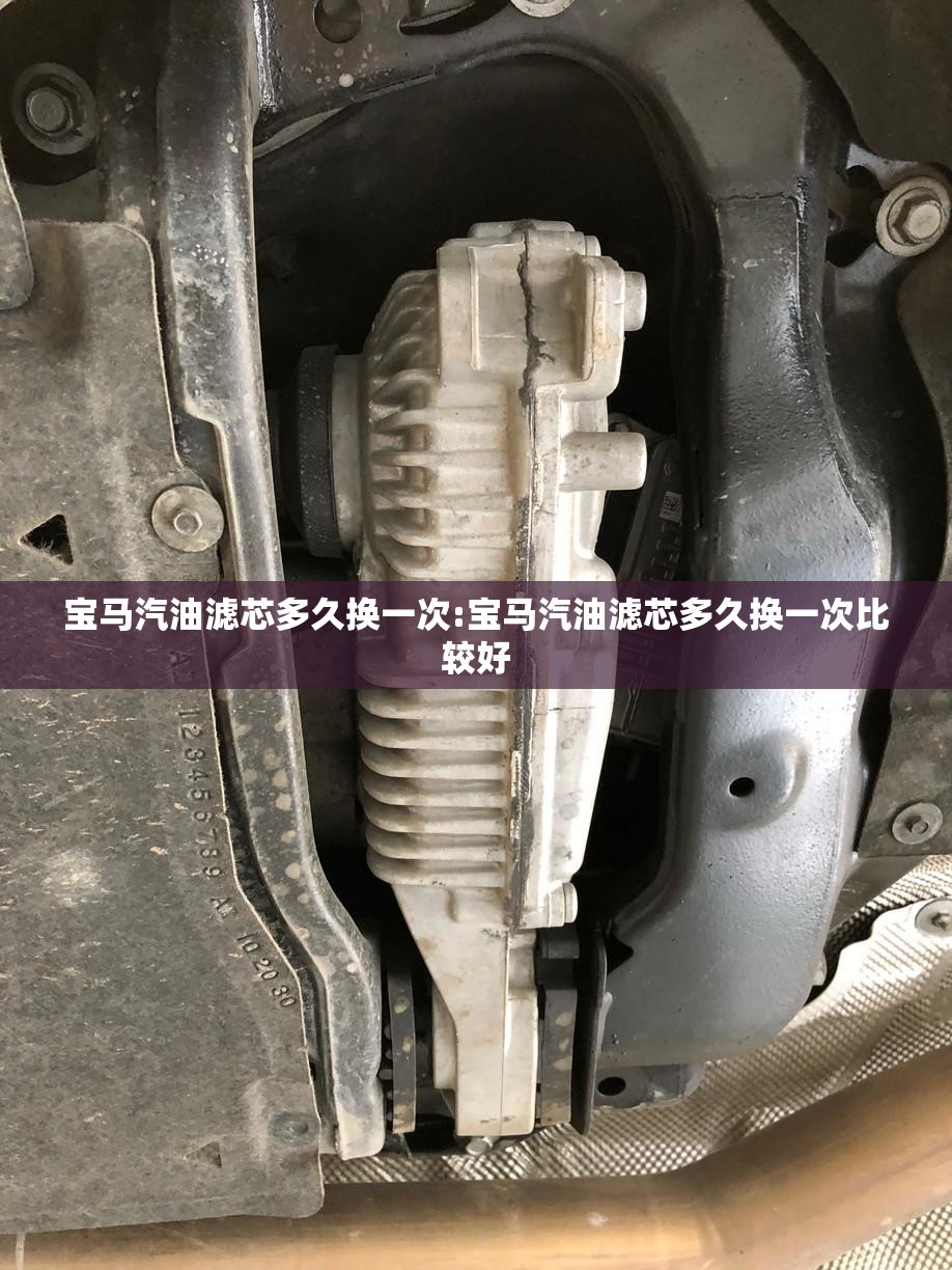 宝马汽油滤芯多久换一次:宝马汽油滤芯多久换一次比较好