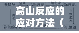 高山反应的应对方法（高山反应的应对方法包括）
