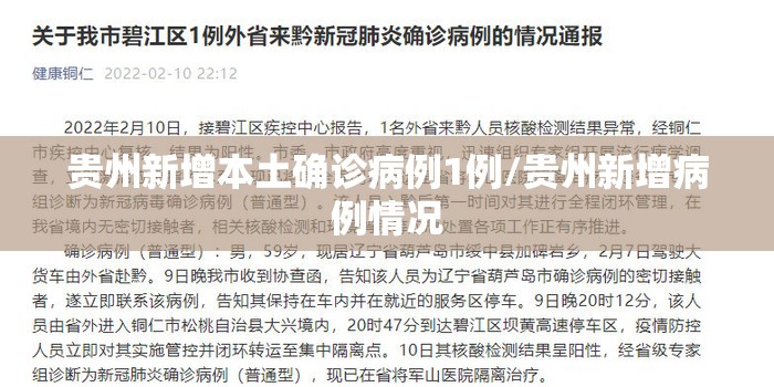 贵州新增本土确诊病例1例/贵州新增病例情况 贵州新增本土确诊病例1例/贵州新增病例情况