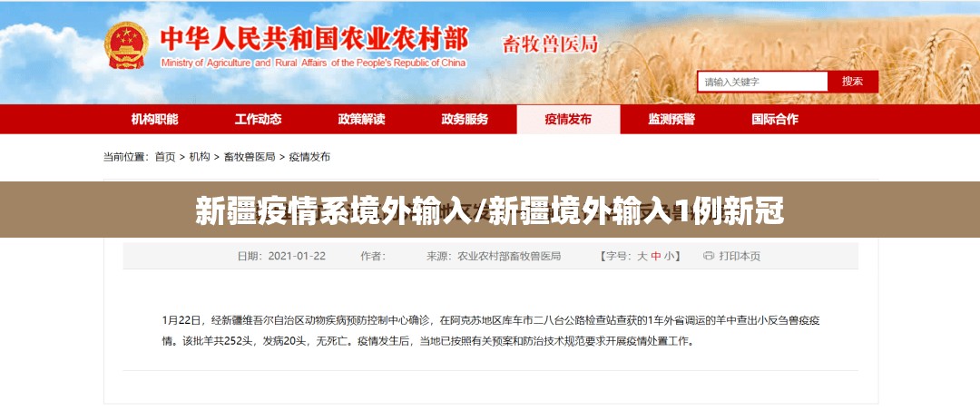 新疆疫情系境外输入/新疆境外输入1例新冠 新疆疫情系境外输入/新疆境外输入1例新冠