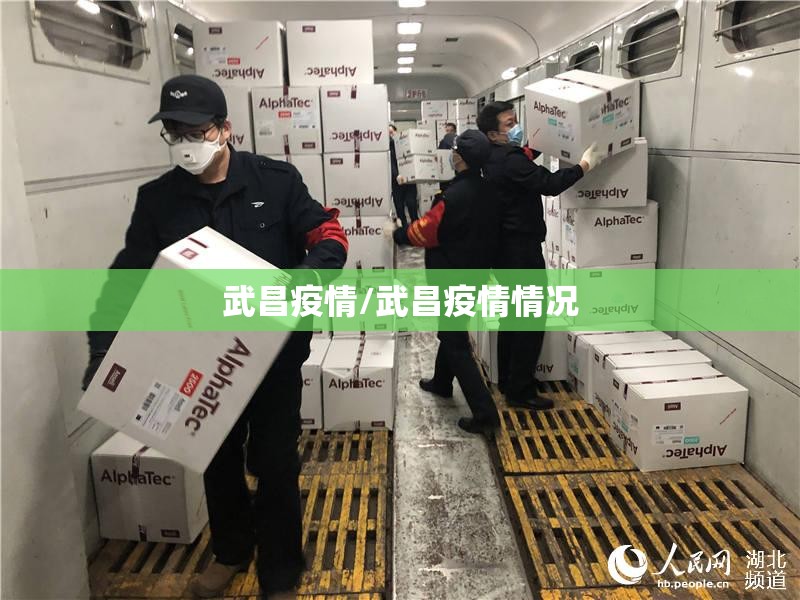 武昌疫情/武昌疫情情况