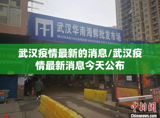 武汉疫情最新的消息/武汉疫情最新消息今天公布