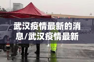 武汉疫情最新的消息/武汉疫情最新消息今天公布