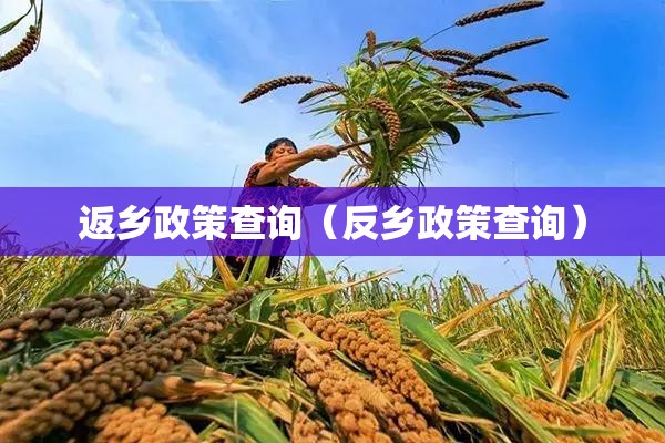 返乡政策查询（反乡政策查询）