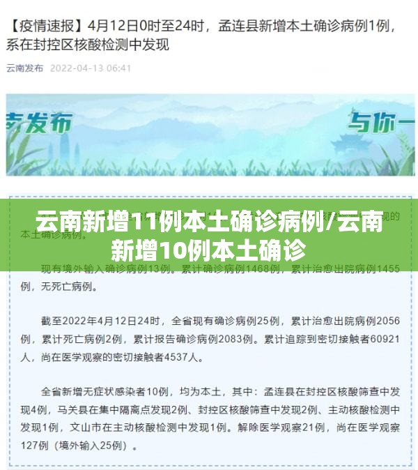 云南新增11例本土确诊病例/云南新增10例本土确诊