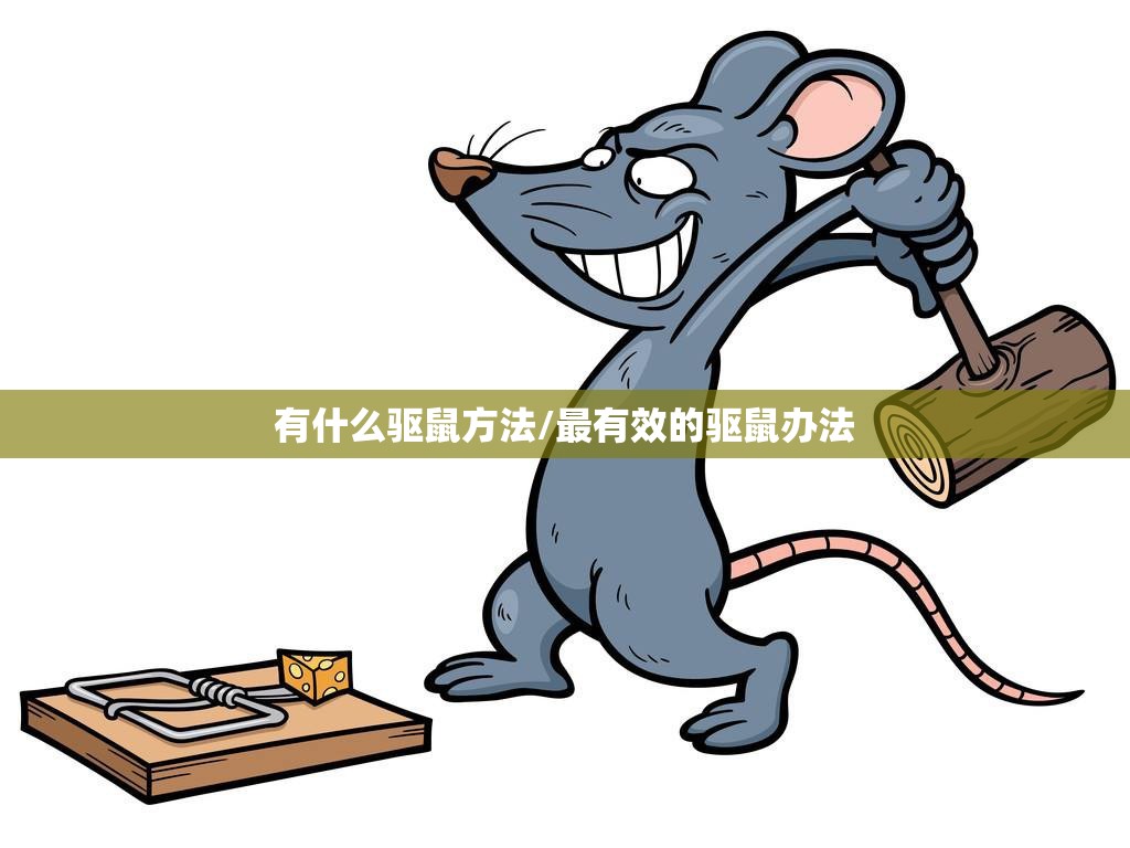 有什么驱鼠方法/最有效的驱鼠办法