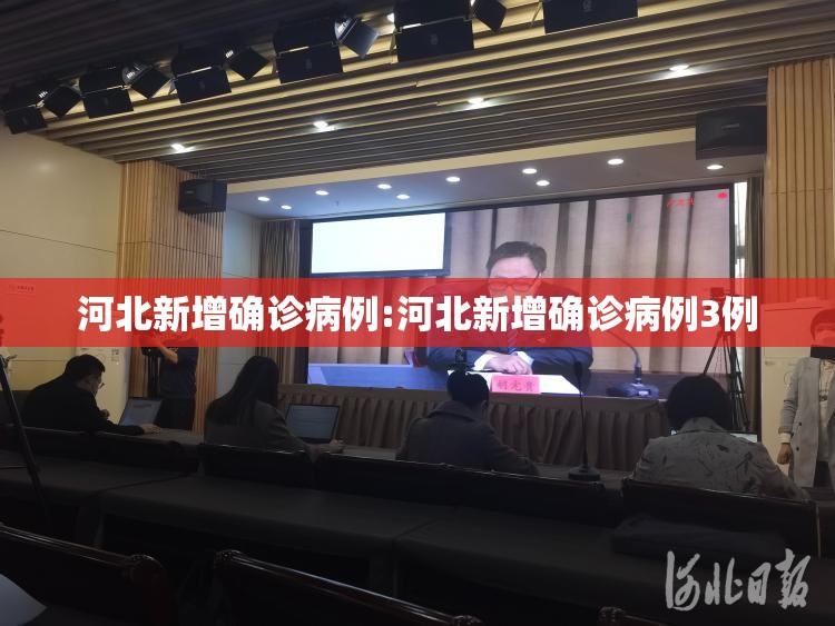 河北新增确诊病例:河北新增确诊病例3例