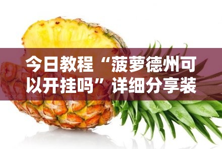 今日教程“菠萝德州可以开挂吗”详细分享装挂步骤