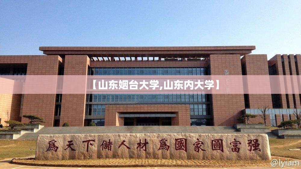 【山东姻台大学,山东内大学】