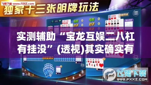 实测辅助“宝龙互娱二八杠有挂没”(透视)其实确实有挂