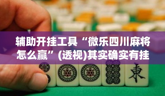 辅助开挂工具“微乐四川麻将怎么赢”(透视)其实确实有挂