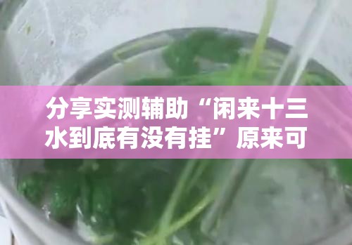 分享实测辅助“闲来十三水到底有没有挂”原来可以开挂