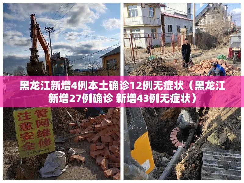 黑龙江新增4例本土确诊12例无症状（黑龙江新增27例确诊 新增43例无症状）