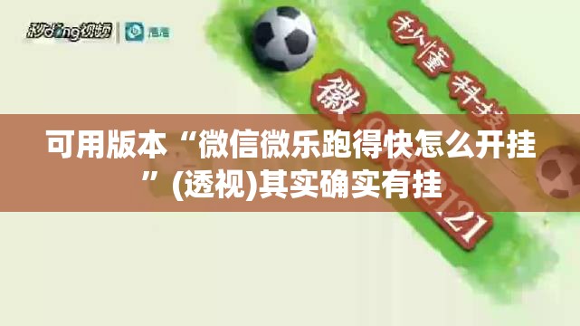 可用版本“微信微乐跑得快怎么开挂”(透视)其实确实有挂