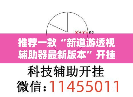 推荐一款“新道游透视辅助器最新版本”开挂辅助脚本+详细开挂安装教程
